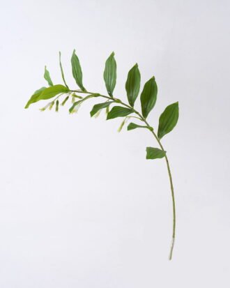 Artificial Plant 20*8*98cm Leaf single stem GS-39126025-G1 2026Jul 3,000+ sqm showroom with thousands of artificial flowers, plants & trees ready for global sourcing. Artificial Plant 20*8*98cm Leaf single stem GS-39126025-G1 2026Jul 3,000+ sqm showroom with thousands of artificial flowers, plants & trees ready for global sourcing.