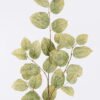 Artificial Plant 30*6*120cm Leaf single stem GS-78826005 2026Aug 3,000+ sqm showroom with thousands of artificial flowers, plants & trees ready for global sourcing.