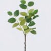 Artificial Plant Leaf single stem GS-78826007 Artificial Plant 30*6*79cm Leaf single stem GS-78826007 2026Aug 3,000+ sqm showroom with thousands of artificial flowers, plants & trees ready for global sourcing.
