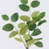 Artificial Plant Leaf single stem GS-78826007_4 Artificial Plant 30*6*79cm Leaf single stem GS-78826007 2026Aug 3,000+ sqm showroom with thousands of artificial flowers, plants & trees ready for global sourcing.