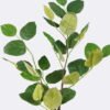 Artificial Plant Leaf single stem GS-78826008_7 Artificial Plant 33*6*98cm Leaf single stem GS-78826008 2026Aug 3,000+ sqm showroom with thousands of artificial flowers, plants & trees ready for global sourcing.