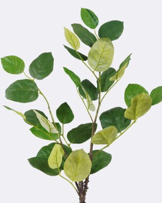 Artificial Plant 33*6*98cm Leaf single stem GS-78826008 2026Aug 3,000+ sqm showroom with thousands of artificial flowers, plants & trees ready for global sourcing. Artificial Plant 33*6*98cm Leaf single stem GS-78826008 2026Aug 3,000+ sqm showroom with thousands of artificial flowers, plants & trees ready for global sourcing.