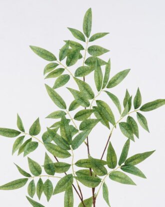 Artificial Plant 30*7*94cm Leaves of the lacquer tree single stem GS-35126020 2026Jul 3,000+ sqm showroom with thousands of artificial flowers, plants & trees ready for global sourcing. Artificial Plant 30*7*94cm Leaves of the lacquer tree single stem GS-35126020 2026Jul 3,000+ sqm showroom with thousands of artificial flowers, plants & trees ready for global sourcing.