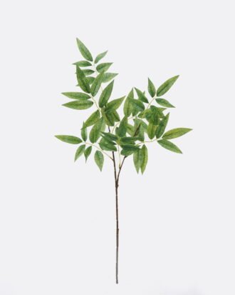 Artificial Plant 23*6*74cm Leaves of the lacquer tree single stem GS-35126021 2026Jul 3,000+ sqm showroom with thousands of artificial flowers, plants & trees ready for global sourcing. Artificial Plant 23*6*74cm Leaves of the lacquer tree single stem GS-35126021 2026Jul 3,000+ sqm showroom with thousands of artificial flowers, plants & trees ready for global sourcing.