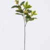 Artificial Plant Lemon leaves with 4 fruits single stem GS-43126009 Artificial Plant 24*10*79cm Lemon leaves with 4 fruits single stem GS-43126009 2026Jul 3,000+ sqm showroom with thousands of artificial flowers, plants & trees ready for global sourcing.