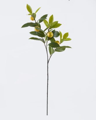 Artificial Plant 24*10*79cm Lemon leaves with 4 fruits single stem GS-43126009 2026Jul 3,000+ sqm showroom with thousands of artificial flowers, plants & trees ready for global sourcing.