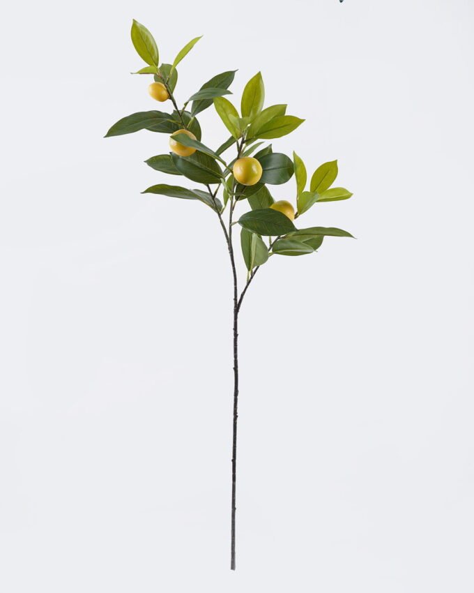 Artificial Plant 24*10*79cm Lemon leaves with 4 fruits single stem GS-43126009 2026Jul 3,000+ sqm showroom with thousands of artificial flowers, plants & trees ready for global sourcing.