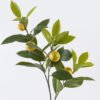 Artificial Plant Lemon leaves with 4 fruits single stem GS-43126009_2 Artificial Plant 24*10*79cm Lemon leaves with 4 fruits single stem GS-43126009 2026Jul 3,000+ sqm showroom with thousands of artificial flowers, plants & trees ready for global sourcing.