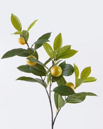 Artificial Plant 24*10*79cm Lemon leaves with 4 fruits single stem GS-43126009 2026Jul 3,000+ sqm showroom with thousands of artificial flowers, plants & trees ready for global sourcing.