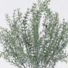 Artificial Plant Love Grass 11 bush GS-01126004_5 Artificial Plant 18*10*40cm Love Grass *11 bush GS-01126004 2026Jun 3,000+ sqm showroom with thousands of artificial flowers, plants & trees ready for global sourcing.