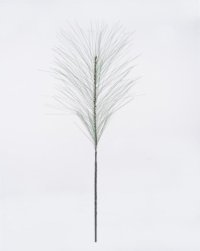 Artificial Plant 10*4*124cm Masson pine  single stem GS-71226004 2026Aug 3,000+ sqm showroom with thousands of artificial flowers, plants & trees ready for global sourcing.