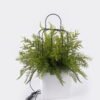 Artificial Plant Mixed-leaffernbirdcagelightingfixture(USB)pottedleaf GS-48126001_2 Artificial Fern Plant Mixed Fern Leaves with Birdcage LED Lamp Fixture (USB Powered) Potted Greenery GS-48126001 2026Aug 3,000+ sqm showroom with thousands of artificial flowers, plants & trees ready for global sourcing.