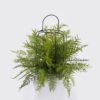 Artificial Plant Mixedfernleafbirdcagepottedleaf GS-48126002_1 Artificial Fern Plant Mixed Fern Leaves with Birdcage Frame Potted Greenery GS-48126002 2026Aug 3,000+ sqm showroom with thousands of artificial flowers, plants & trees ready for global sourcing.