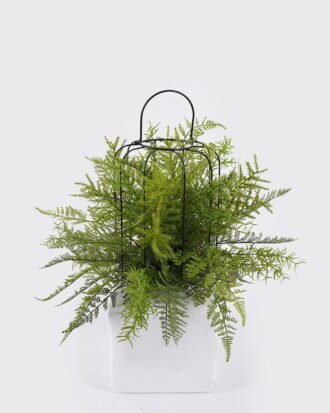 Artificial Fern Plant Mixed Fern Leaves with Birdcage Frame Potted Greenery GS-48126002 2026Aug 3,000+ sqm showroom with thousands of artificial flowers, plants & trees ready for global sourcing. Artificial Fern Plant Mixed Fern Leaves with Birdcage Frame Potted Greenery GS-48126002 2026Aug 3,000+ sqm showroom with thousands of artificial flowers, plants & trees ready for global sourcing.