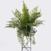 Artificial Plant Mixedfernleafcircularironartdecorationpottedleaf GS-48126007-UV_4 Artificial Fern Plant Mixed Fern Leaves with Circular Iron Frame Potted Greenery GS-48126007-UV 2026Aug 3,000+ sqm showroom with thousands of artificial flowers, plants & trees ready for global sourcing.