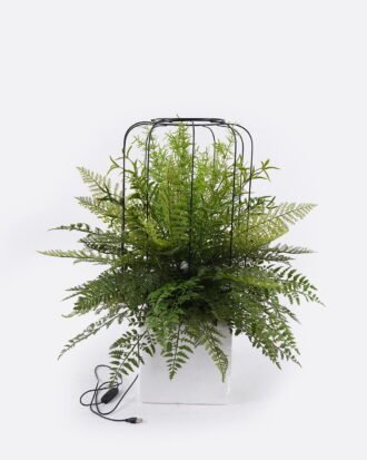 Artificial Fern Plant Mixed Fern Leaves with Large Birdcage Lamp Fixture (USB) Potted Greenery GS-48126005 2026Aug 3,000+ sqm showroom with thousands of artificial flowers, plants & trees ready for global sourcing. Artificial Fern Plant Mixed Fern Leaves with Large Birdcage Lamp Fixture (USB) Potted Greenery GS-48126005 2026Aug 3,000+ sqm showroom with thousands of artificial flowers, plants & trees ready for global sourcing.