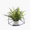 Artificial Plant Mixedfernleavessquareironartdecorationpottedleaf GS-48126004-UV_5 Artificial Fern Plant Mixed Fern Leaves with Square Iron Frame Potted Greenery GS-48126004-UV 2026Aug 3,000+ sqm showroom with thousands of artificial flowers, plants & trees ready for global sourcing.