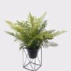Artificial Plant Mixedfernleavessquareironartdecorationpottedleaf GS-48126009-UV_1 Artificial Fern Plant Mixed Fern Leaves with Square Iron Frame Potted Greenery GS-48126009-UV 2026Aug 3,000+ sqm showroom with thousands of artificial flowers, plants & trees ready for global sourcing.