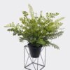 Artificial Plant Mixedfernleavessquareironartdecorationpottedleaf GS-48126010-UV_1 Artificial Fern Plant Mixed Fern Leaves with Square Iron Frame Potted Greenery GS-48126010-UV 2026Aug 3,000+ sqm showroom with thousands of artificial flowers, plants & trees ready for global sourcing.