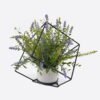 Artificial Plant Mixedfernleavessquareironartdecorationpottedleaf GS-48126011-UV Artificial Fern Plant Mixed Fern Leaves with Square Iron Frame Potted Greenery GS-48126011-UV 2026Aug 3,000+ sqm showroom with thousands of artificial flowers, plants & trees ready for global sourcing.
