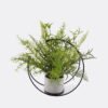 Artificial Plant Moon-shapedironartdecorationpottedleaf GS-48126012-UV_5 Artificial Plant Moon-Shaped Iron Frame with Decorative Potted Greenery GS-48126012-UV 2026Aug 3,000+ sqm showroom with thousands of artificial flowers, plants & trees ready for global sourcing.