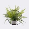 Artificial Plant Moon-shapedironartdecorationpottedleaf GS-48126014-UV_5 Artificial Fern Plant Moon-Shaped Iron Frame with Decorative Potted Greenery GS-48126014-UV 2026Aug 3,000+ sqm showroom with thousands of artificial flowers, plants & trees ready for global sourcing.
