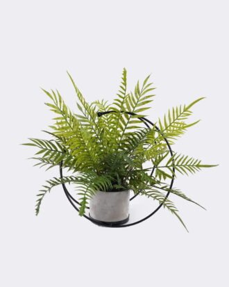 Artificial Fern Plant Moon-Shaped Iron Frame with Decorative Potted Greenery GS-48126014-UV 2026Aug 3,000+ sqm showroom with thousands of artificial flowers, plants & trees ready for global sourcing. Artificial Fern Plant Moon-Shaped Iron Frame with Decorative Potted Greenery GS-48126014-UV 2026Aug 3,000+ sqm showroom with thousands of artificial flowers, plants & trees ready for global sourcing.