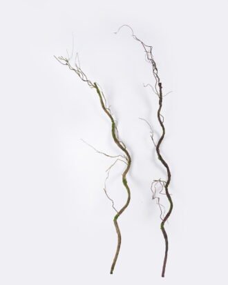Artificial Plant 20*17*160cm Moss branch Garland GS-57726012 2026Aug 3,000+ sqm showroom with thousands of artificial flowers, plants & trees ready for global sourcing. Artificial Plant 20*17*160cm Moss branch Garland GS-57726012 2026Aug 3,000+ sqm showroom with thousands of artificial flowers, plants & trees ready for global sourcing.