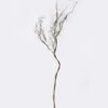 Artificial Plant Moss branch Garland GS-57726013 Artificial Plant 24*9*140cm Moss branch Garland GS-57726013 2026Aug 3,000+ sqm showroom with thousands of artificial flowers, plants & trees ready for global sourcing.