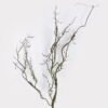 Artificial Plant Moss branch Garland GS-57726013_1 Artificial Plant 24*9*140cm Moss branch Garland GS-57726013 2026Aug 3,000+ sqm showroom with thousands of artificial flowers, plants & trees ready for global sourcing.