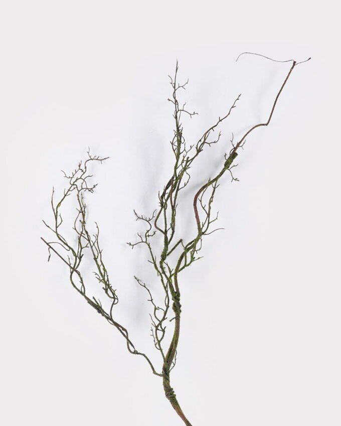 Artificial Plant Moss branch Garland GS-57726013_1 Artificial Plant 24*9*140cm Moss branch Garland GS-57726013 2026Aug 3,000+ sqm showroom with thousands of artificial flowers, plants & trees ready for global sourcing.