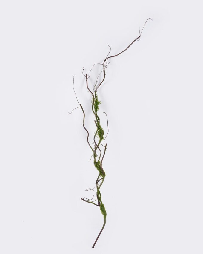 Artificial Plant 20*18*120cm Moss branch Garland GS-57726014 2026Aug 3,000+ sqm showroom with thousands of artificial flowers, plants & trees ready for global sourcing.