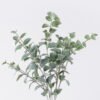 Artificial Plant 23*14*43cm Neomartinella *5 bush GS-14326007 2026Jun 3,000+ sqm showroom with thousands of artificial flowers, plants & trees ready for global sourcing.