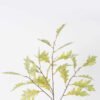 Artificial Plant Oak Leaf single stem 23 lvs GS-77626005_2 Artificial Plant 42*16*85cm Oak Leaf single stem/23 lvs GS-77626005 2026Aug 3,000+ sqm showroom with thousands of artificial flowers, plants & trees ready for global sourcing.