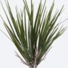 Artificial Plant Onion grass 5 bush GS-05526007_4 Artificial Plant 8*3*41cm Onion grass *5 bush GS-05526007 2026Jun 3,000+ sqm showroom with thousands of artificial flowers, plants & trees ready for global sourcing.
