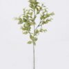 Artificial Plant Orange grass 3 single ste GS-29226009_4 Artificial Plant 12*7*62cm Orange grass *3 single ste GS-29226009 2026Jul 3,000+ sqm showroom with thousands of artificial flowers, plants & trees ready for global sourcing.