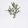Artificial Plant Pearl grass 3 single ste GS-29226008_2 Artificial Plant 15*6*61cm Pearl grass *3 single ste GS-29226008 2026Jul 3,000+ sqm showroom with thousands of artificial flowers, plants & trees ready for global sourcing.