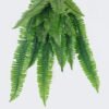 Artificial Plant Persian leaf 24 bush GS-83325003_4 Artificial Plant 21*10*90cm Persian leaf *24 bush GS-83325003 2026SEP 3,000+ sqm showroom with thousands of artificial flowers, plants & trees ready for global sourcing.