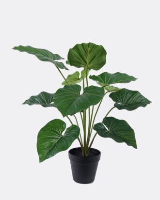Artificial Plant 69*52*55cm Philodendron in PP pot/12 Lvs GS-84626008 2026SEP 3,000+ sqm showroom with thousands of artificial flowers, plants & trees ready for global sourcing. Artificial Plant 69*52*55cm Philodendron in PP pot/12 Lvs GS-84626008 2026SEP 3,000+ sqm showroom with thousands of artificial flowers, plants & trees ready for global sourcing.