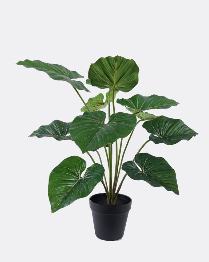 Artificial Plant 69*52*55cm Philodendron in PP pot/12 Lvs GS-84626008 2026SEP 3,000+ sqm showroom with thousands of artificial flowers, plants & trees ready for global sourcing.
