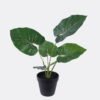Artificial Plant 32*34*45cm Philodendron in PP pot/5 Lvs GS-84626009 2026SEP 3,000+ sqm showroom with thousands of artificial flowers, plants & trees ready for global sourcing.