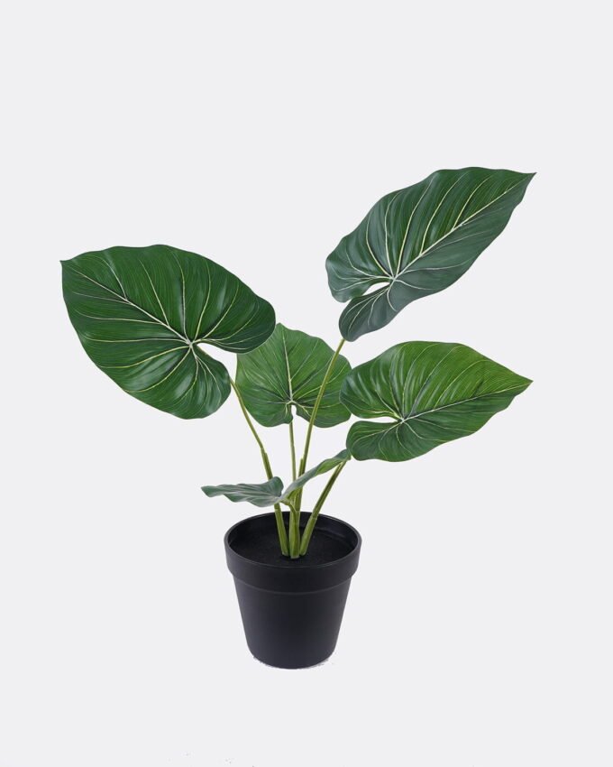 Artificial Plant 32*34*45cm Philodendron in PP pot/5 Lvs GS-84626009 2026SEP 3,000+ sqm showroom with thousands of artificial flowers, plants & trees ready for global sourcing.