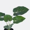 Artificial Plant 32*34*45cm Philodendron in PP pot/5 Lvs GS-84626009 2026SEP 3,000+ sqm showroom with thousands of artificial flowers, plants & trees ready for global sourcing.