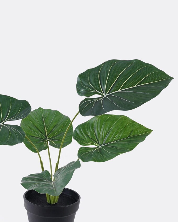 Artificial Plant 32*34*45cm Philodendron in PP pot/5 Lvs GS-84626009 2026SEP 3,000+ sqm showroom with thousands of artificial flowers, plants & trees ready for global sourcing.