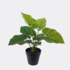 Artificial Plant Philodendron in PP pot 7 Lvs GS-84626010_1 Artificial Plant 34*34*40cm Philodendron in PP pot/7 Lvs GS-84626010 2026SEP 3,000+ sqm showroom with thousands of artificial flowers, plants & trees ready for global sourcing.