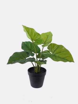 Artificial Plant 32*34*45cm Philodendron in PP pot/5 Lvs GS-84626009 2026SEP 3,000+ sqm showroom with thousands of artificial flowers, plants & trees ready for global sourcing.