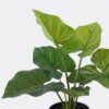 Artificial Plant Philodendron in PP pot 7 Lvs GS-84626010_2 Artificial Plant 34*34*40cm Philodendron in PP pot/7 Lvs GS-84626010 2026SEP 3,000+ sqm showroom with thousands of artificial flowers, plants & trees ready for global sourcing.