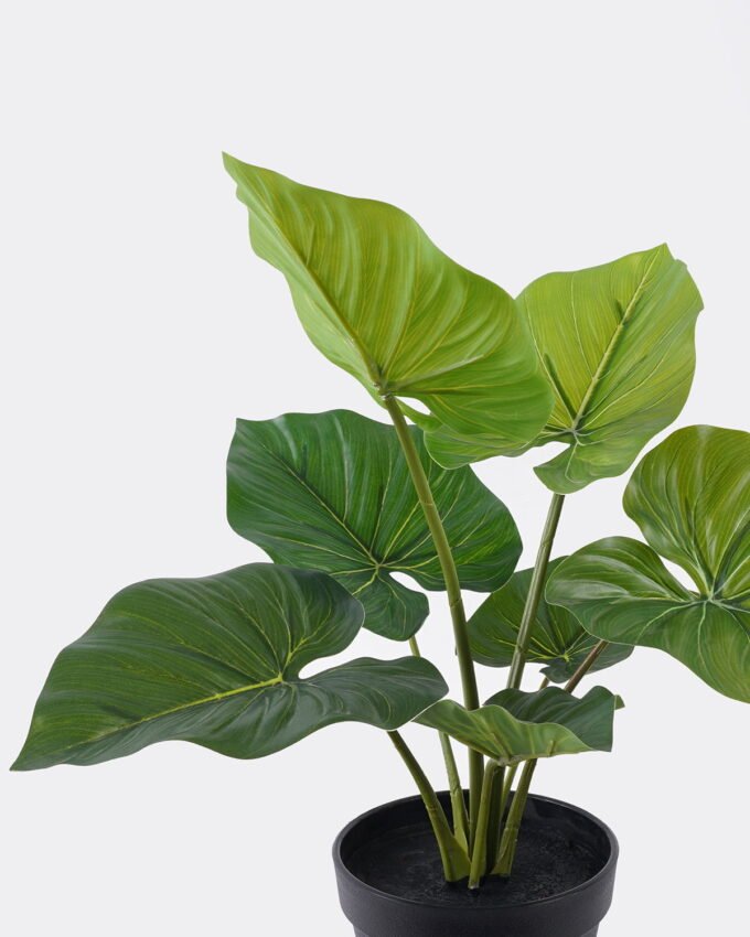 Artificial Plant 34*34*40cm Philodendron in PP pot/7 Lvs GS-84626010 2026SEP 3,000+ sqm showroom with thousands of artificial flowers, plants & trees ready for global sourcing.