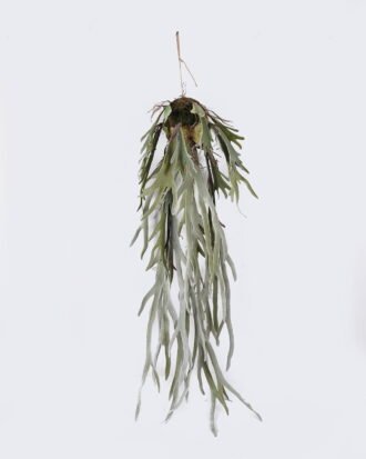 Artificial Plant 20*20*130cm Platycerium wallichii hanging GS-84726003 2026SEP 3,000+ sqm showroom with thousands of artificial flowers, plants & trees ready for global sourcing. Artificial Plant 20*20*130cm Platycerium wallichii hanging GS-84726003 2026SEP 3,000+ sqm showroom with thousands of artificial flowers, plants & trees ready for global sourcing.