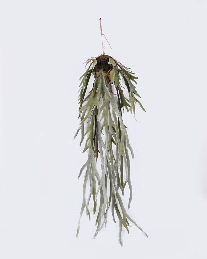 Artificial Plant 20*20*130cm Platycerium wallichii hanging GS-84726003 2026SEP 3,000+ sqm showroom with thousands of artificial flowers, plants & trees ready for global sourcing.